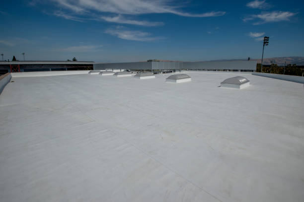 Best Steel Roofing  in Universal City, TX