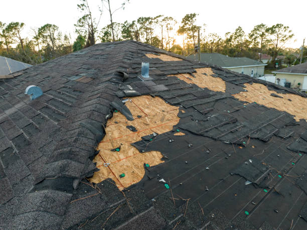 Best Gutter Installation and Repair  in Universal City, TX