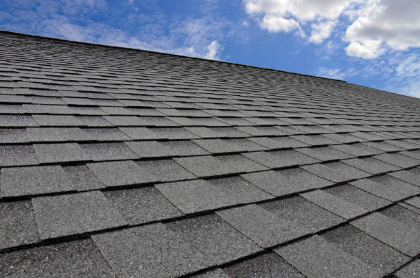 Best Skylight Installation and Repair  in Universal City, TX